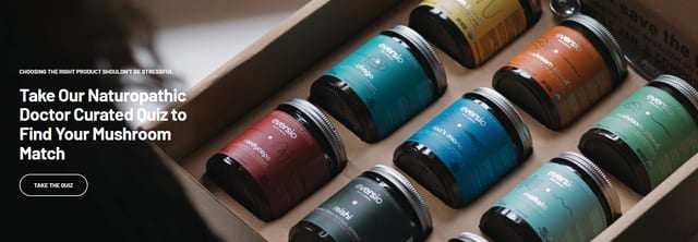 Eversio Wellness