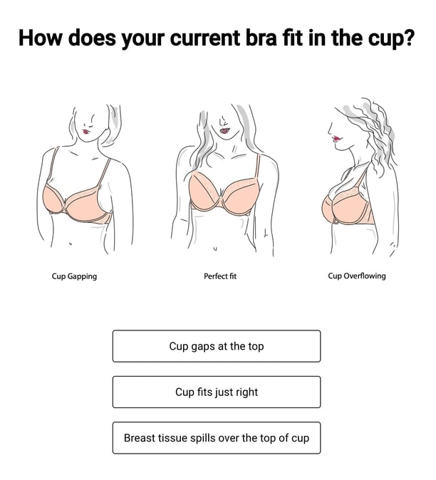 Apparel quiz - Le Mystere Screenshot showing  graphics of various bra fits