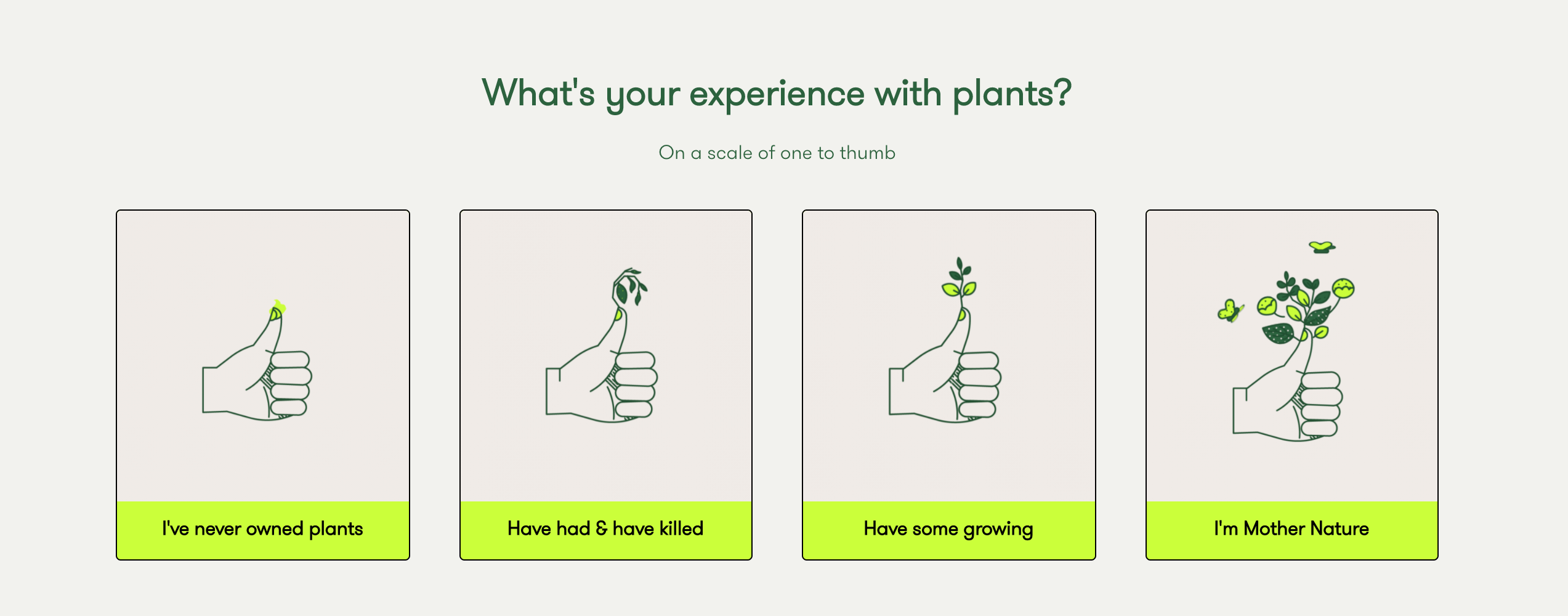 Rooted plant quiz