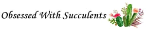 logo-1